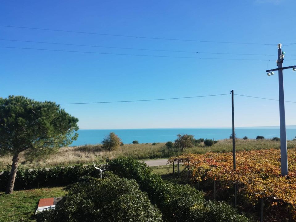 Villa i Vasto, Chieti - foto 5