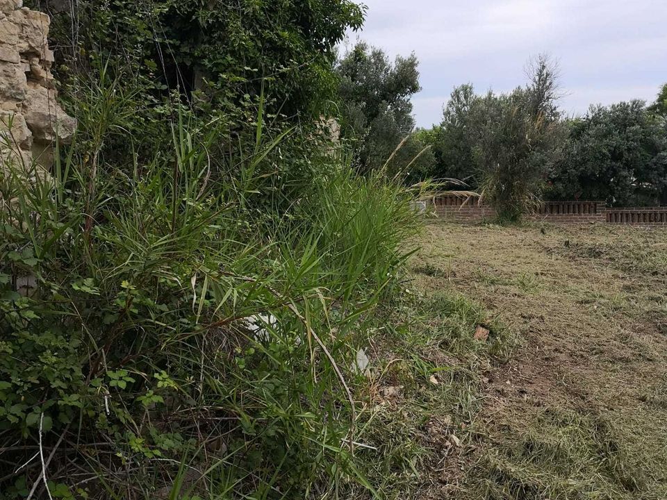 Tomt i Treglio, Chieti - bilde 4