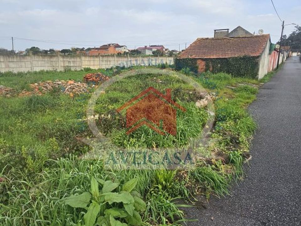 Helårsgrund i Vagos, Aveiro - foto 4