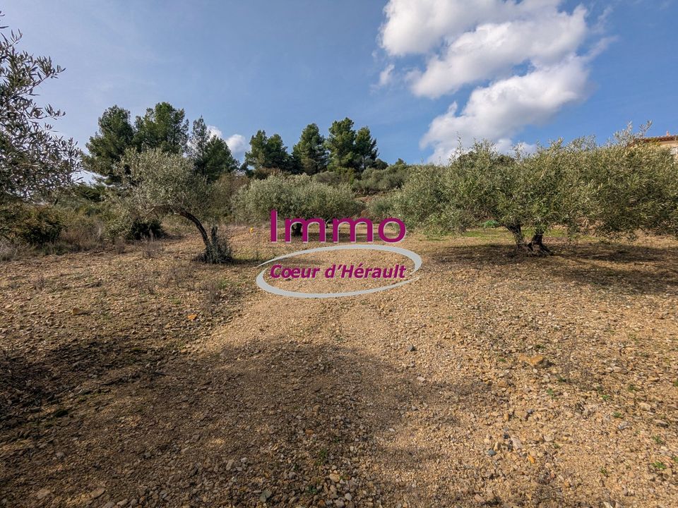 Helårsgrund i Peret, Herault - foto 2