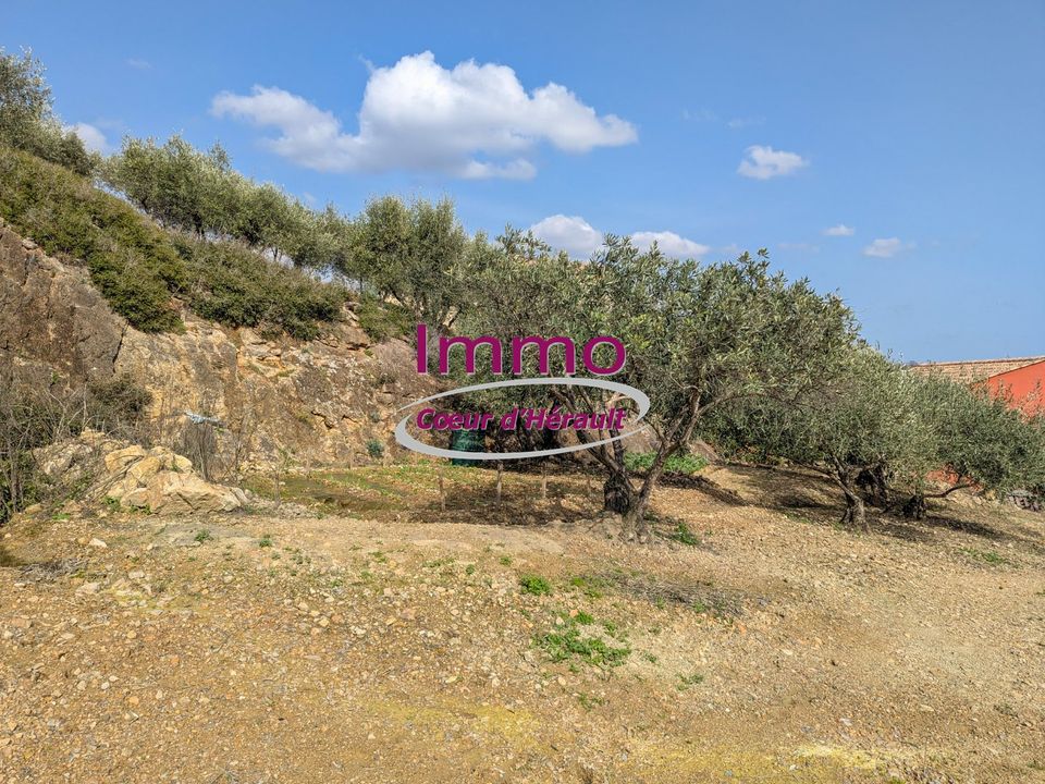 Helårsgrund i Peret, Herault - foto 4