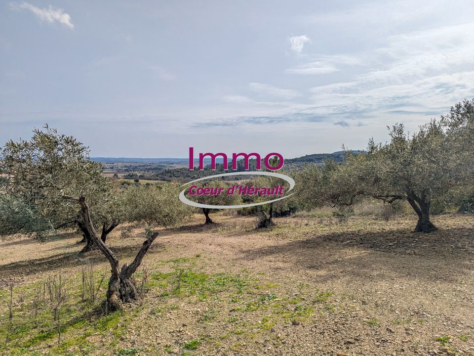 Helårsgrund i Peret, Herault - foto 5