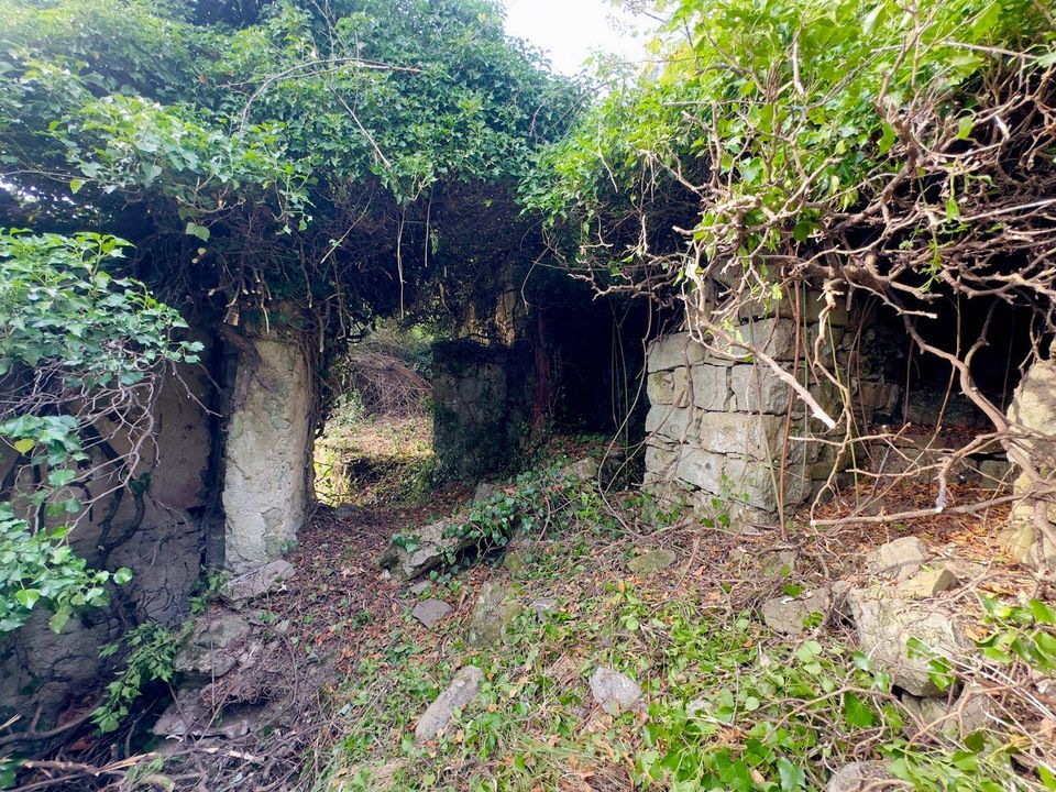 Villa i Perinaldo, Imperia - foto 2