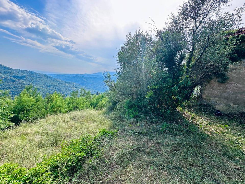 Villa i Perinaldo, Imperia - foto 3