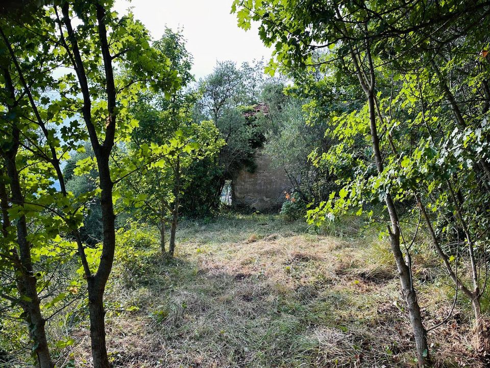 Villa i Perinaldo, Imperia - foto 4