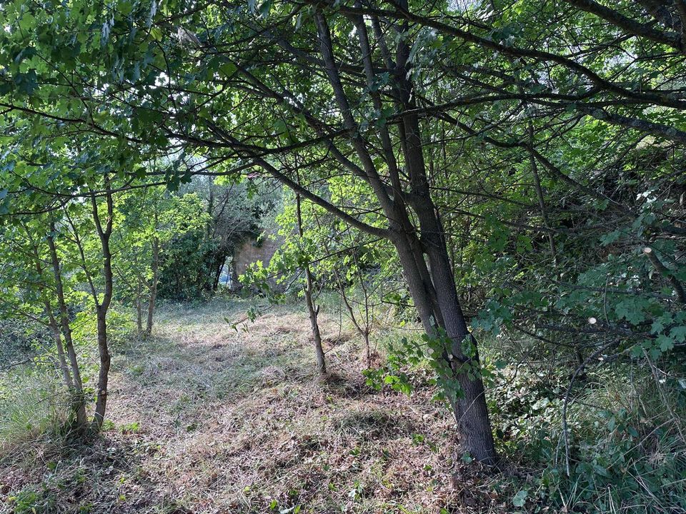 Villa i Perinaldo, Imperia - foto 5