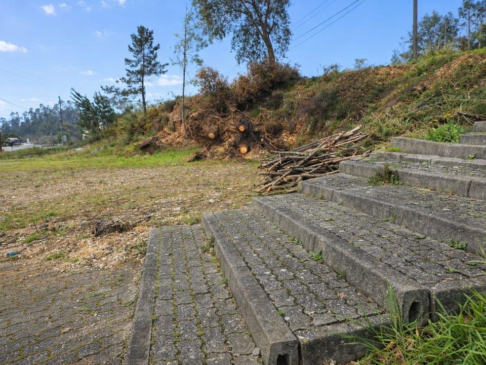 Helårsgrund i Pombal, Leiria - foto 4