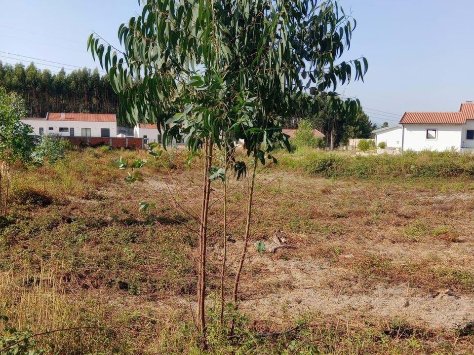 Helårsgrund i Rio Maior, Santarem - foto 1