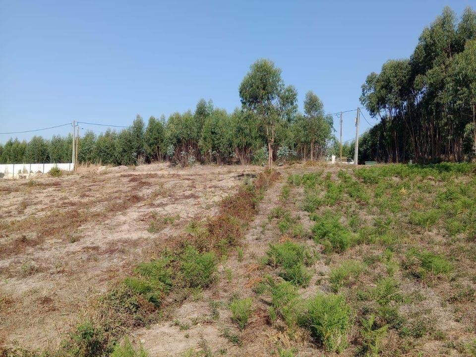 Helårsgrund i Rio Maior, Santarem - foto 2
