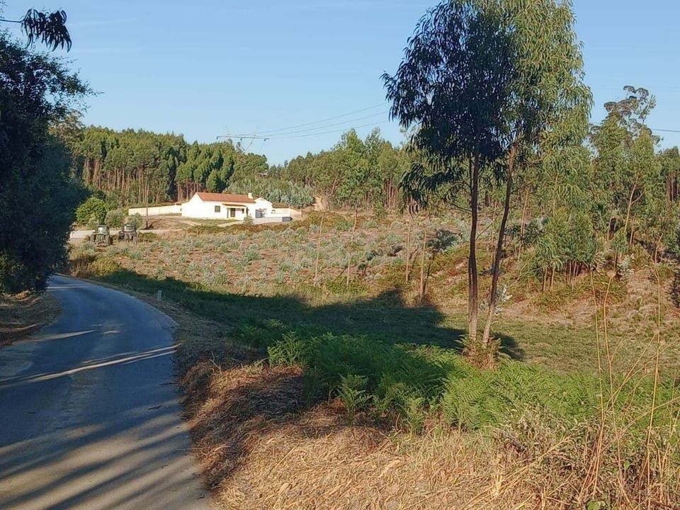 Helårsgrund i Rio Maior, Santarem - foto 3
