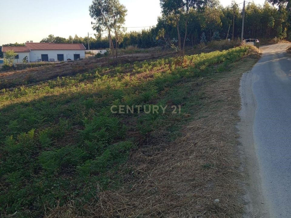 Helårsgrund i Rio Maior, Santarem - foto 4