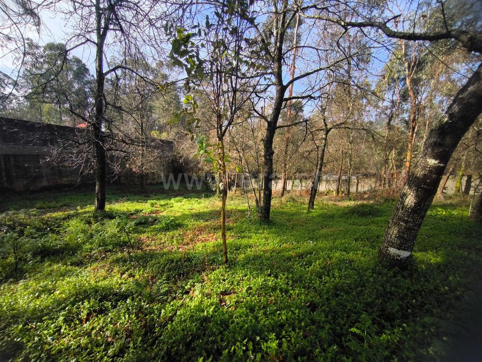 Helårsgrund i Barcelos, Braga - foto 3