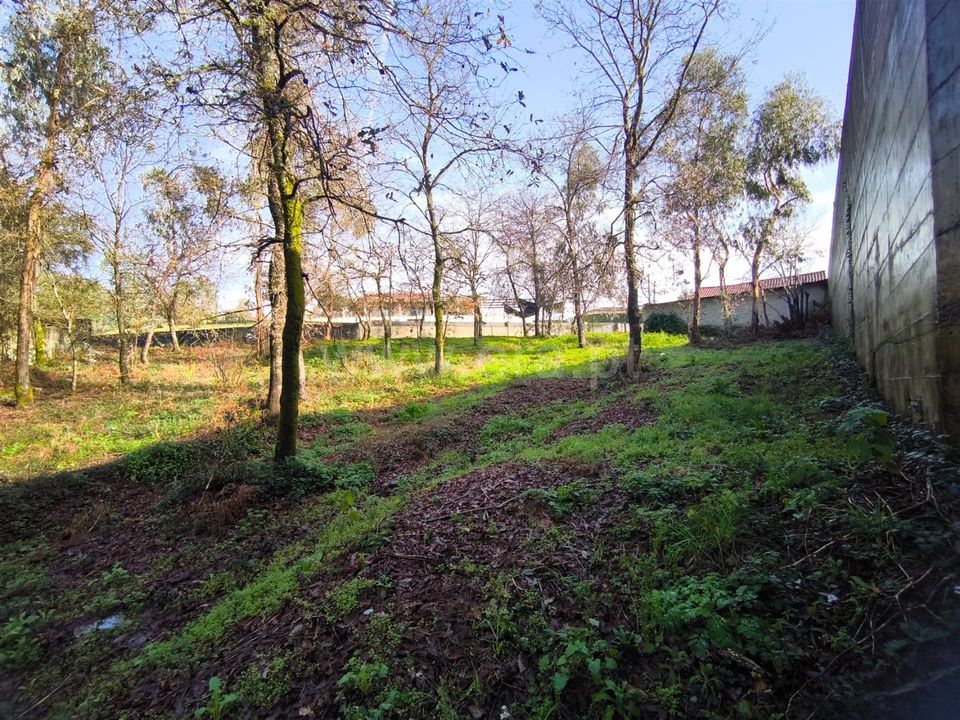 Helårsgrund i Barcelos, Braga - foto 4