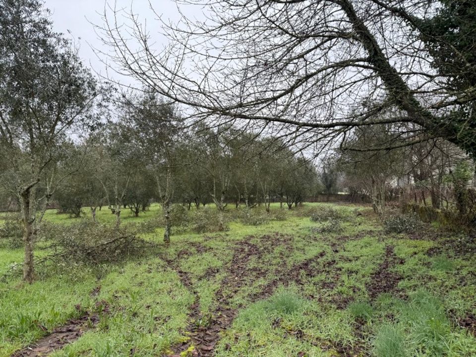 Helårsgrund i Carregal do Sal, Viseu - foto 1