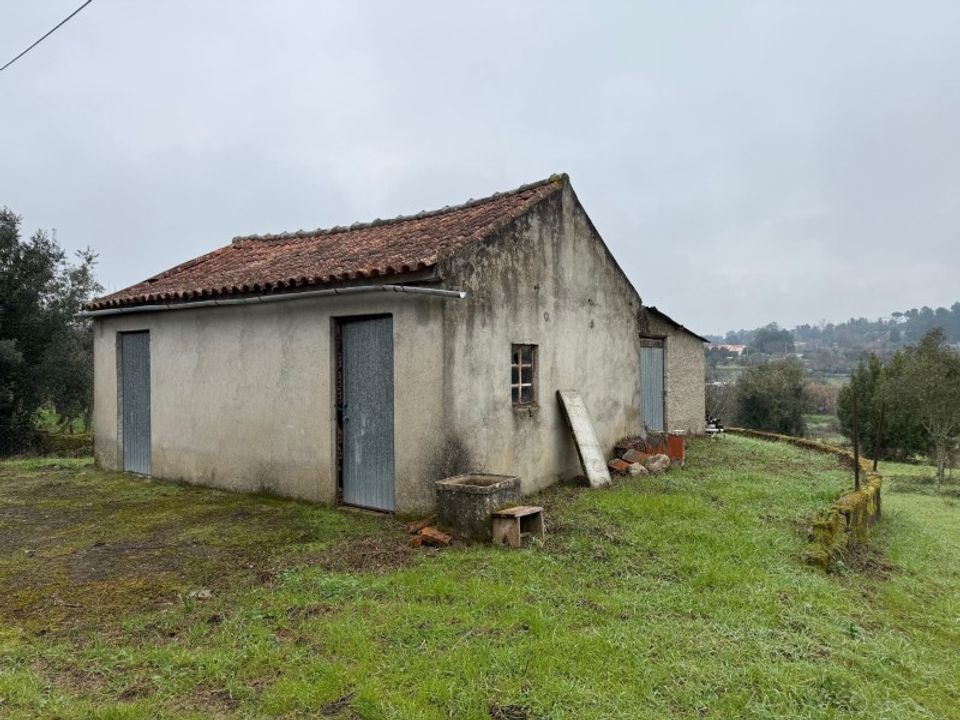 Helårsgrund i Carregal do Sal, Viseu - foto 2