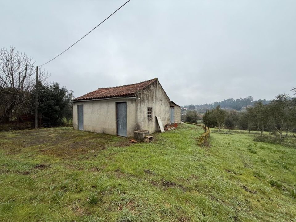 Helårsgrund i Carregal do Sal, Viseu - foto 3