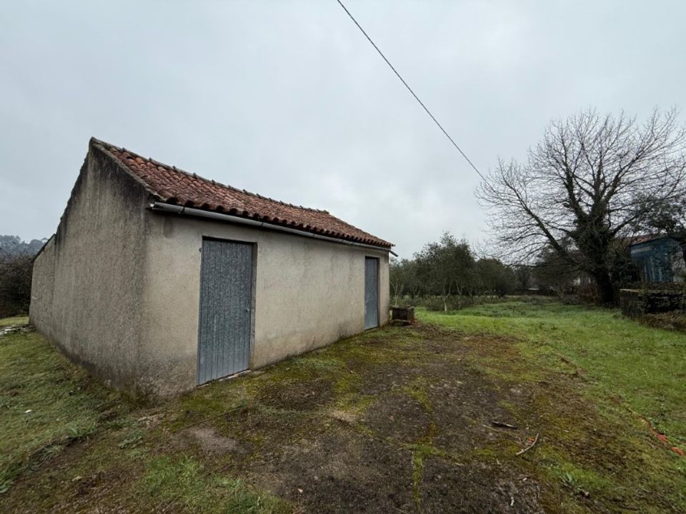 Helårsgrund i Carregal do Sal, Viseu - foto 4