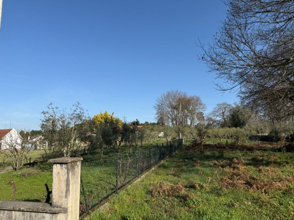Helårsgrund i Carregal do Sal, Viseu - foto 4