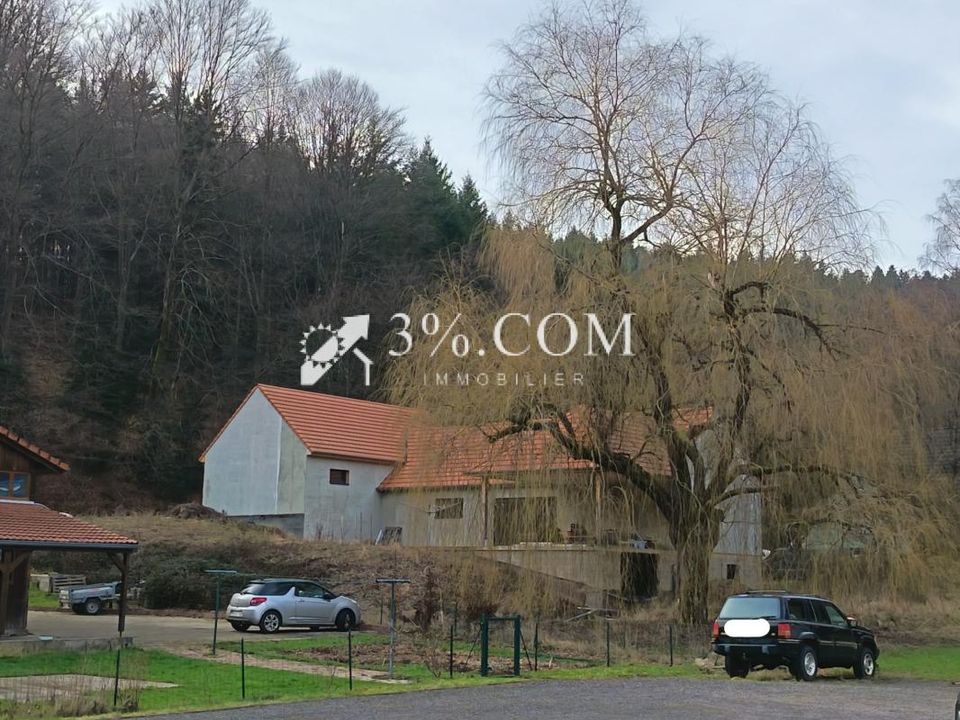 Villa i Wangenbourg-Engenthal, Bas-Rhin - foto 1