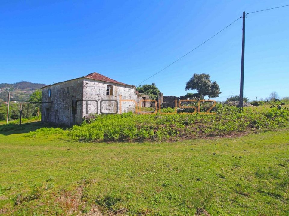 Farm i Cinfaes, Viseu - foto 1