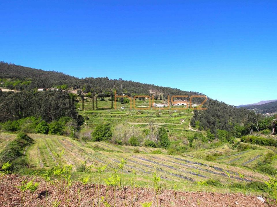 Farm i Cinfaes, Viseu - foto 2