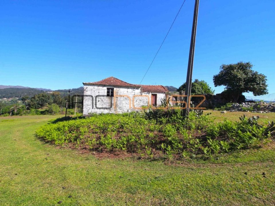 Farm i Cinfaes, Viseu - foto 5