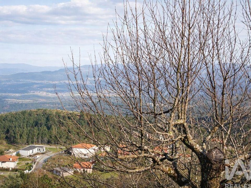 Terra a Valenca, Viana do Castelo - foto 3