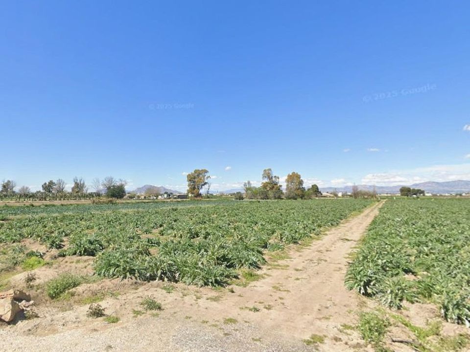 Landejendom i San Fulgencio, Alicante - foto 4