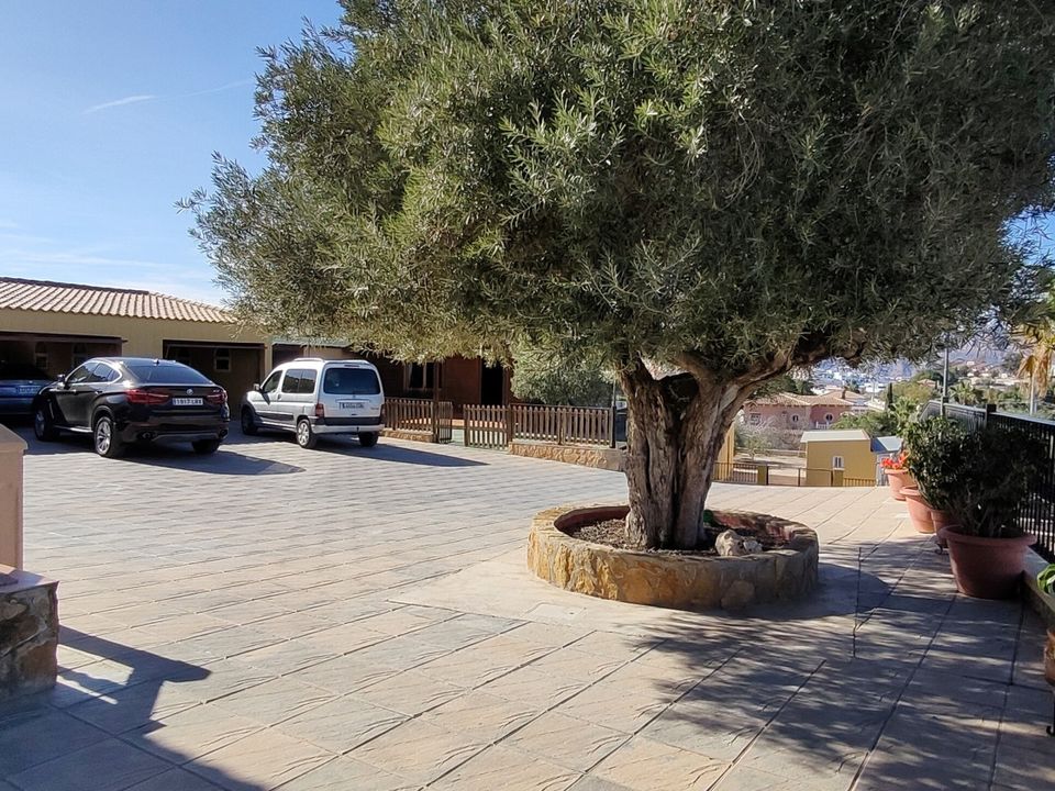 Finca a Bigastro, Alicante - foto 3
