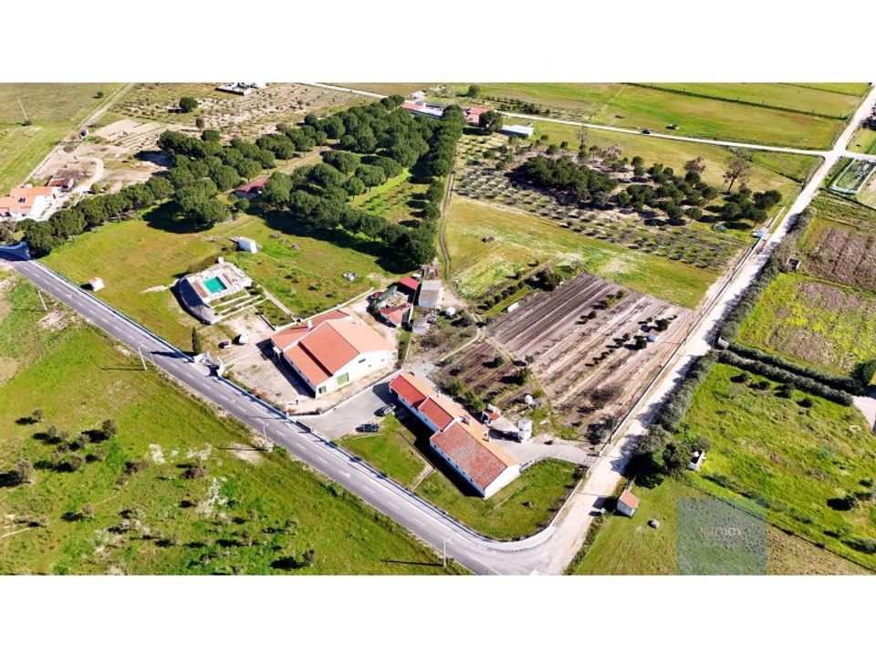 Farm i Coruche, Santarem - foto 1
