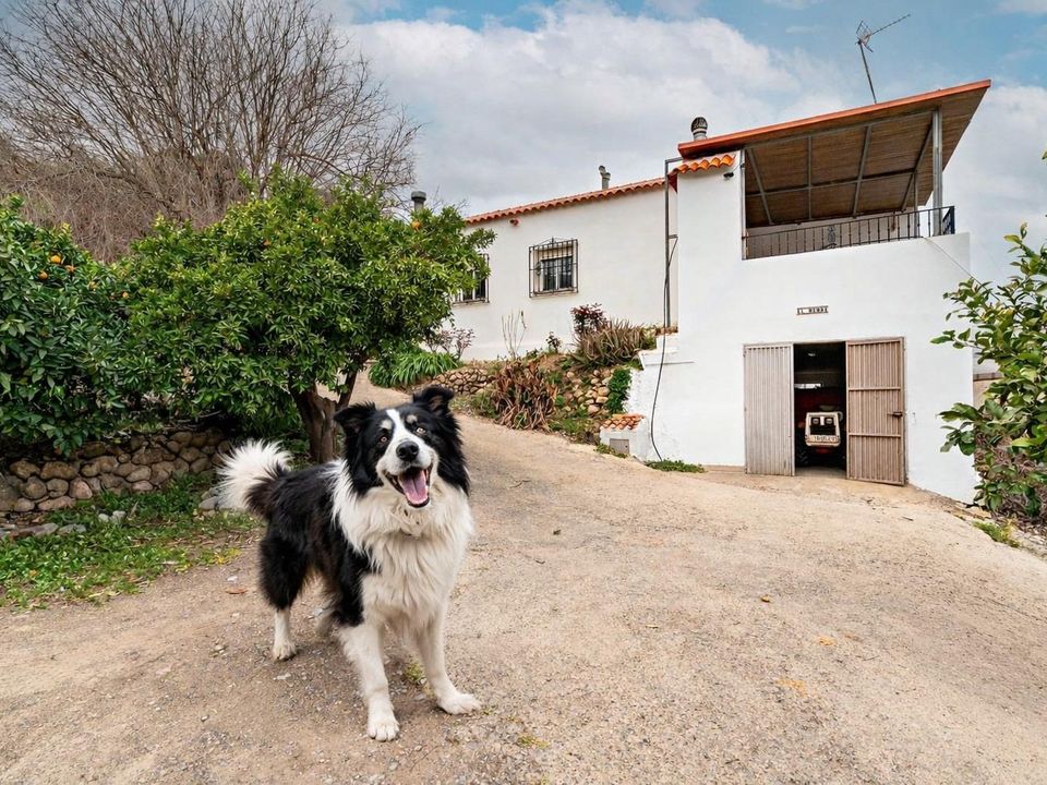 Villa i Canjayar, Almeria - foto 1