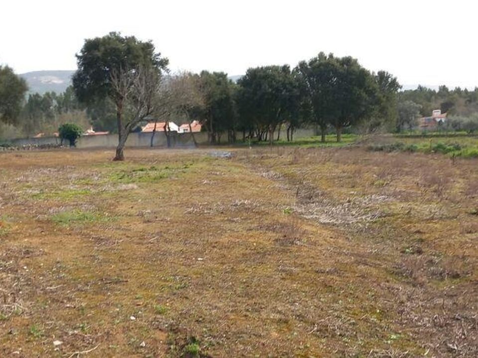 Helårsgrund i Alcobaca, Leiria - foto 3
