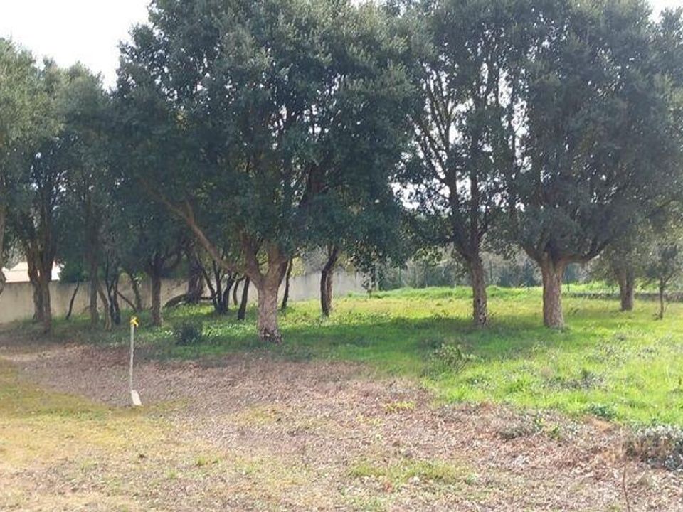 Helårsgrund i Alcobaca, Leiria - foto 5