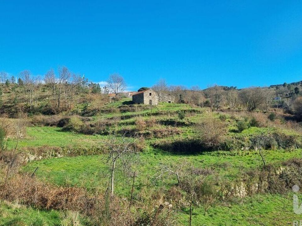 Helårsgrund i Celorico da Beira, Guarda - foto 1