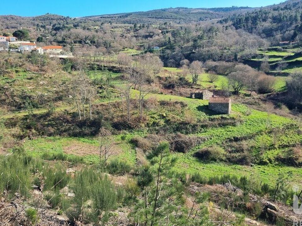 Helårsgrund i Celorico da Beira, Guarda - foto 4