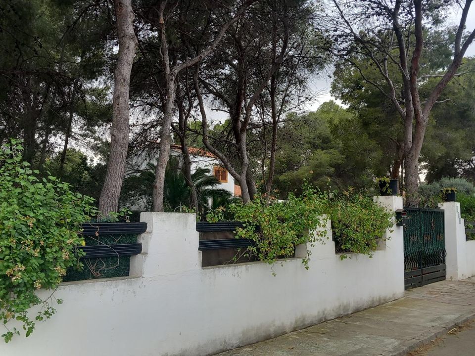 Helårsgrund i Serra, Valencia - foto 1