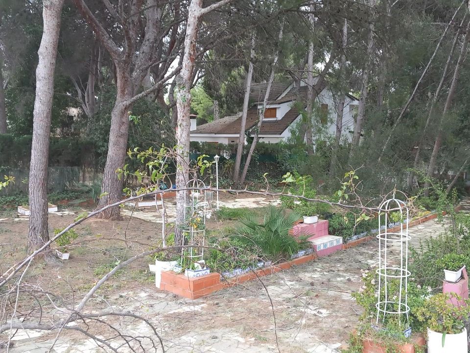 Helårsgrund i Serra, Valencia - foto 3