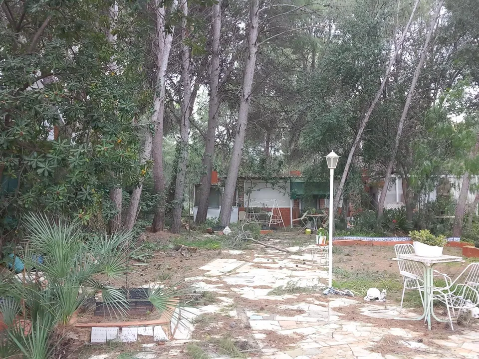 Helårsgrund i Serra, Valencia - foto 4