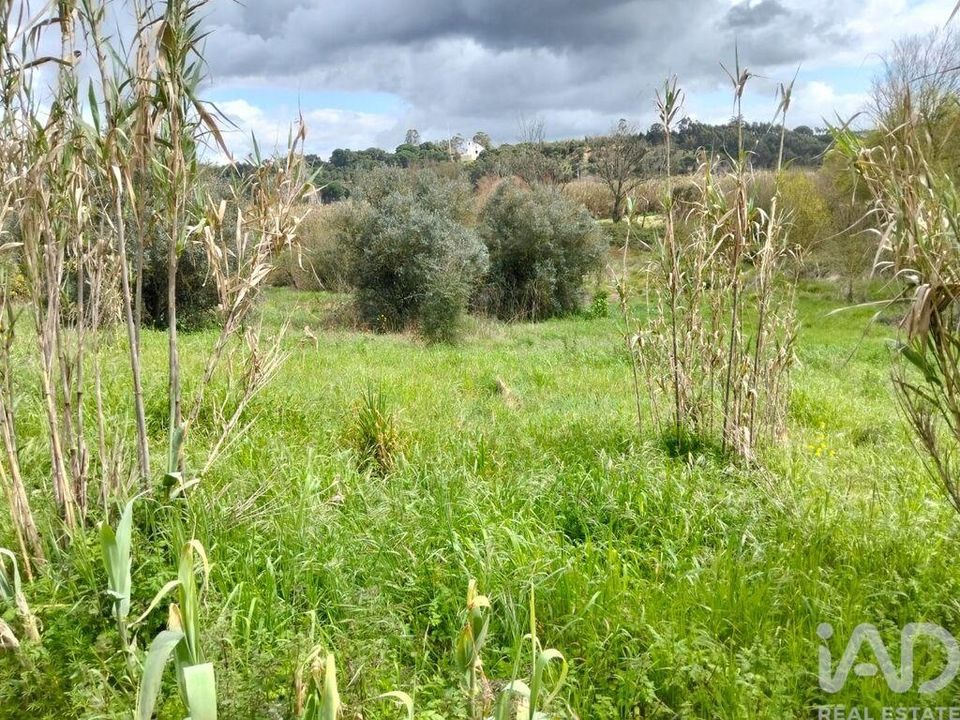 Helårsgrund i Rio Maior, Santarem - foto 1