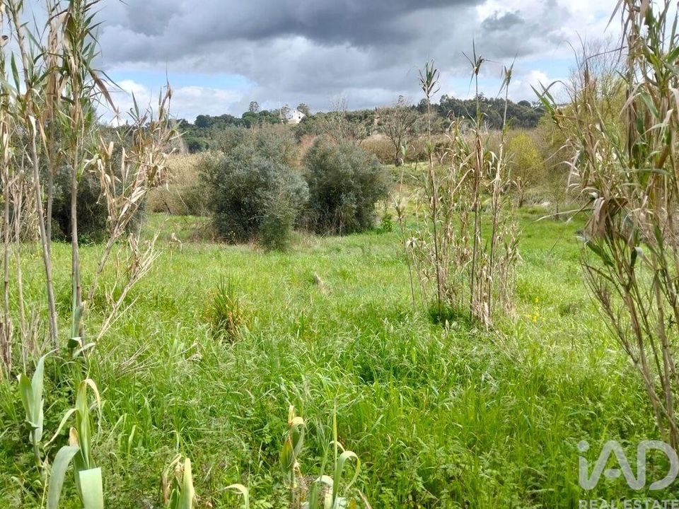 Helårsgrund i Rio Maior, Santarem - foto 4