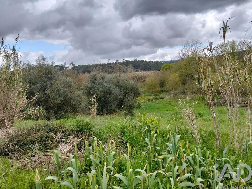 Helårsgrund i Rio Maior, Santarem - foto 5