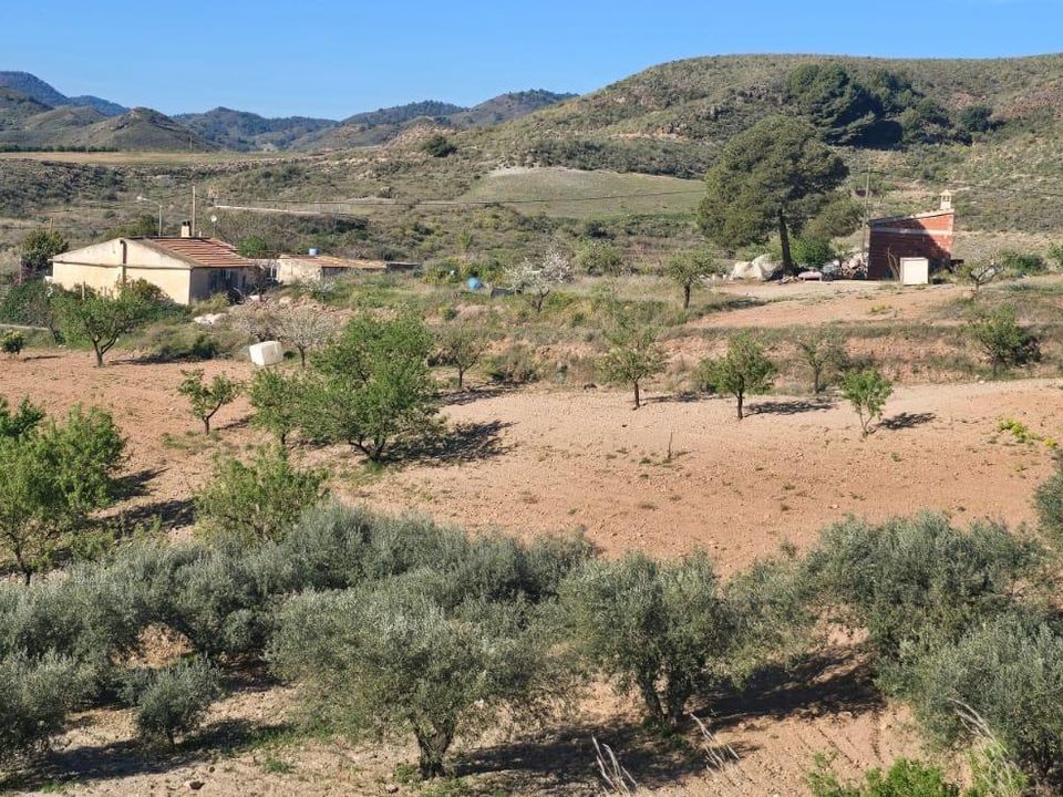 Landejendom i Lorca, Murcia - foto 2