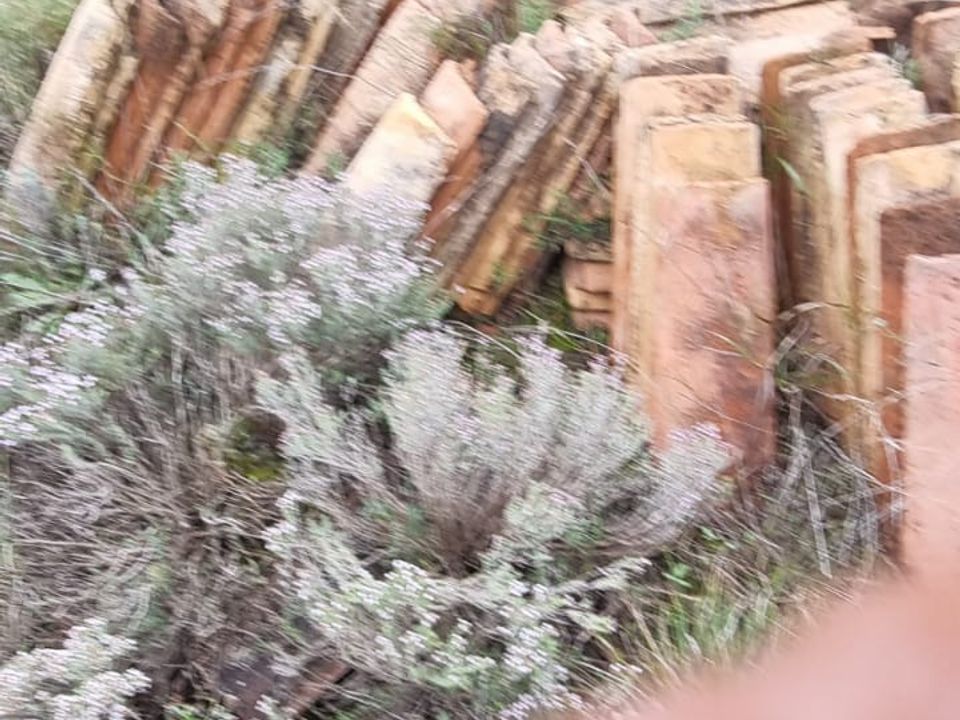 Finca i Benifallet, Tarragona - foto 2