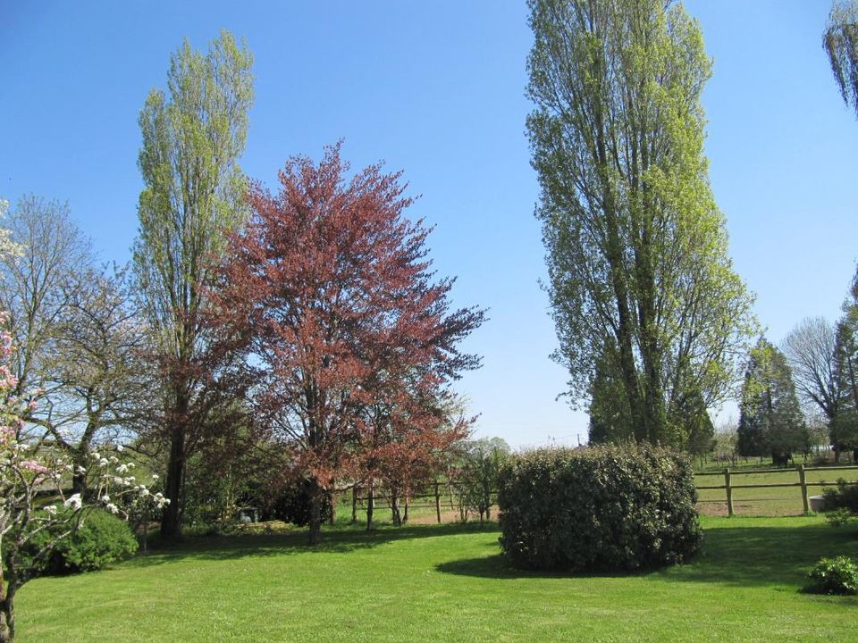 Landsbyhus i Loué, Sarthe - foto 3