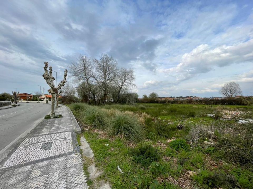 Helårsgrund i Murtosa, Aveiro - foto 3