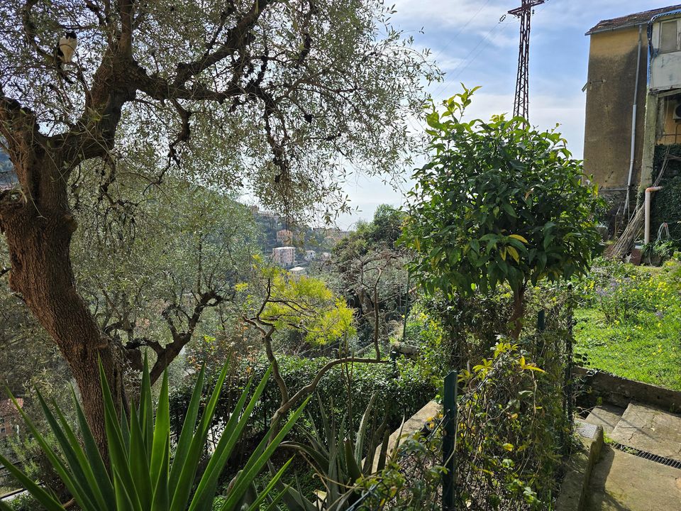 Appartement in Zoagli, Genoa - foto 1