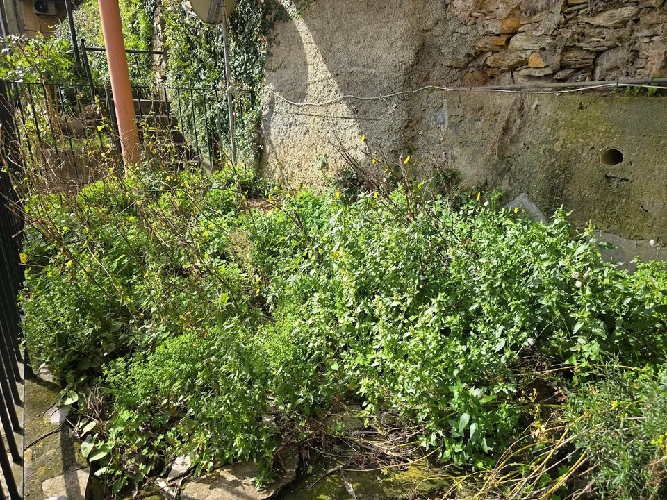 Appartement in Zoagli, Genoa - foto 2