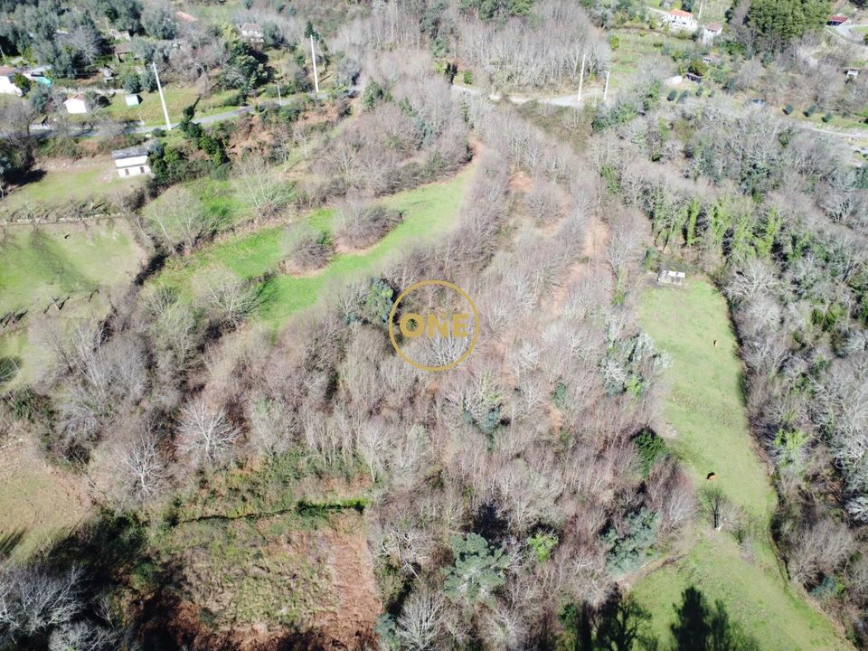 Helårsgrund i Vila Verde, Braga - foto 1