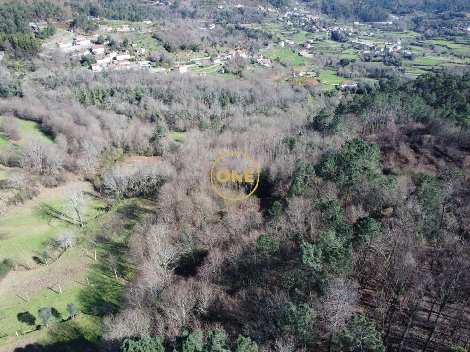 Helårsgrund i Vila Verde, Braga - foto 3