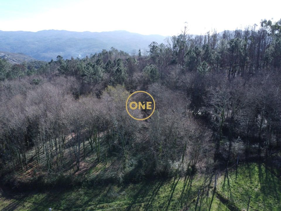 Helårsgrund i Vila Verde, Braga - foto 5